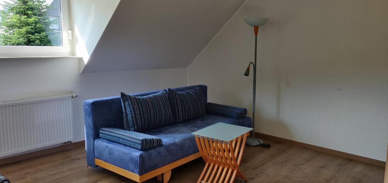 Ferienhaus Schulte - Villa Jupp Und Apartment Liesl Olsberg Luaran gambar